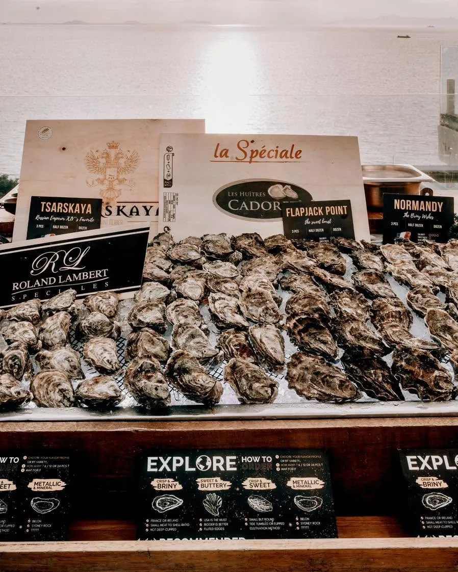 Live oyster shucking station set up at an event