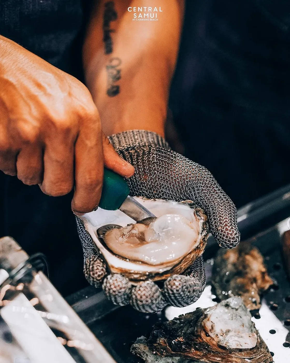 Oyster platter served at a catered event