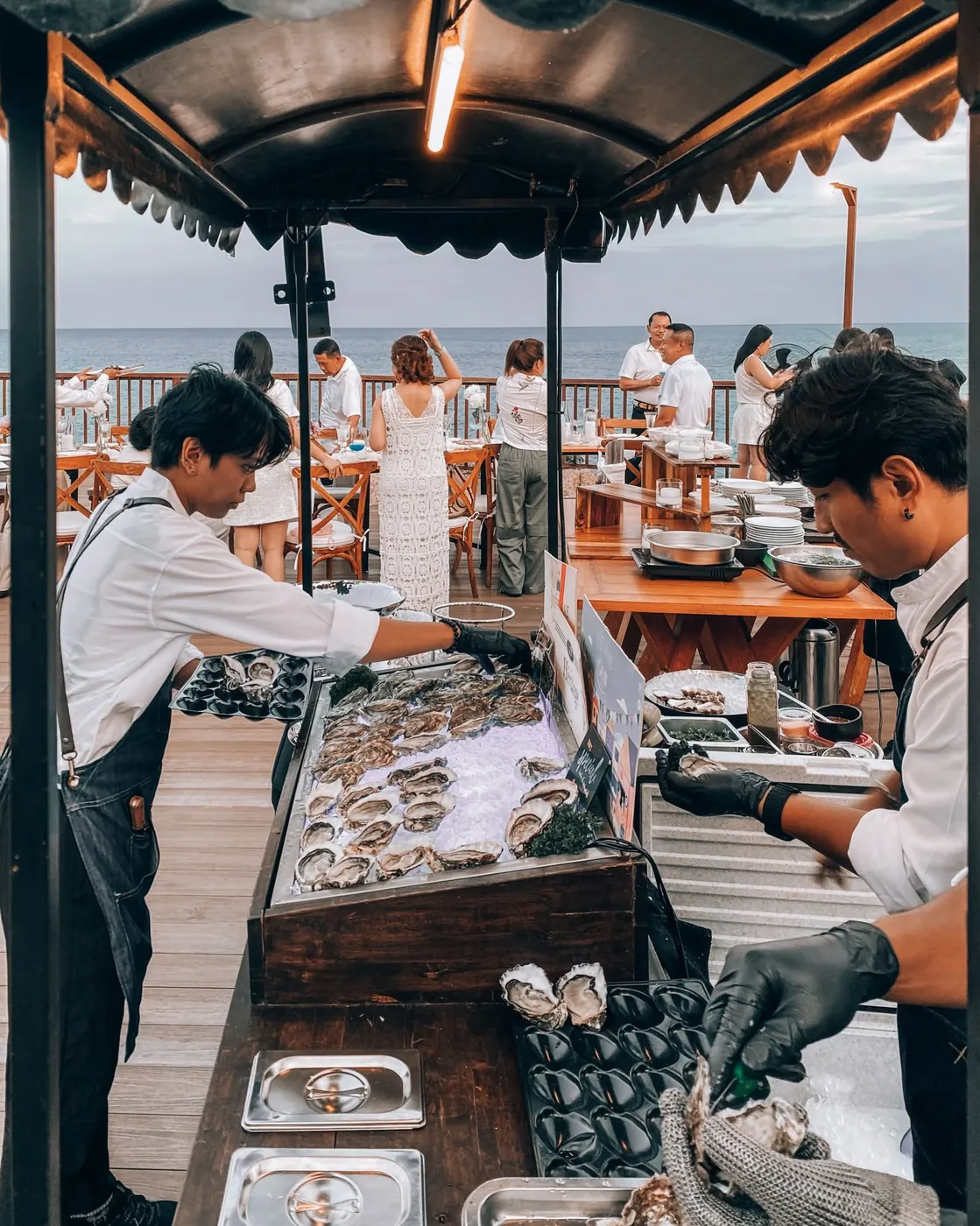 Fresh oysters packed on ice for delivery
