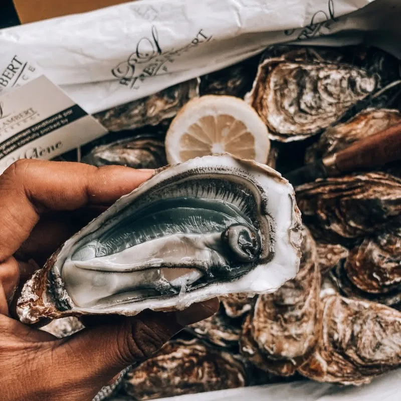 L'Émeraude oyster — Huîtres Lambert