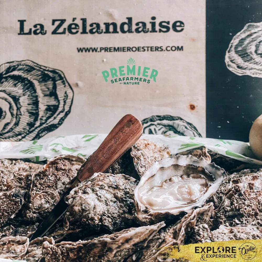 La Zélandaise oyster — Premier — Krijn Verwijs Yerseke
