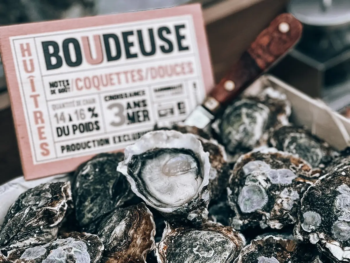 Boudeuse oyster — David Hervé