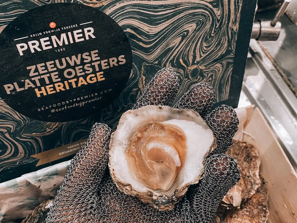 Zeeuwse Platte Oester — Heritage oyster — Premier — Krijn Verwijs Yerseke