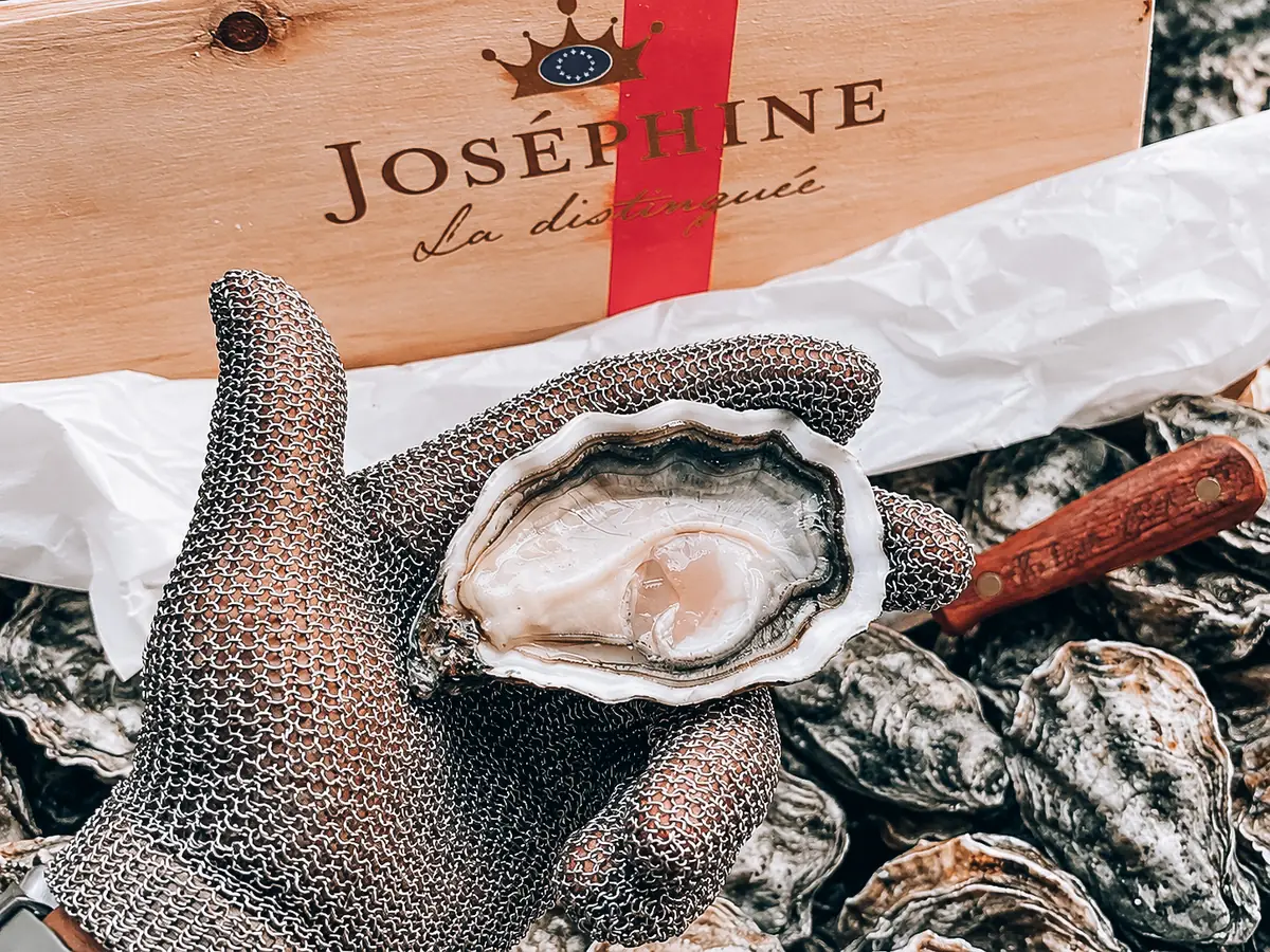 Joséphine oyster — Maison Gillardeau